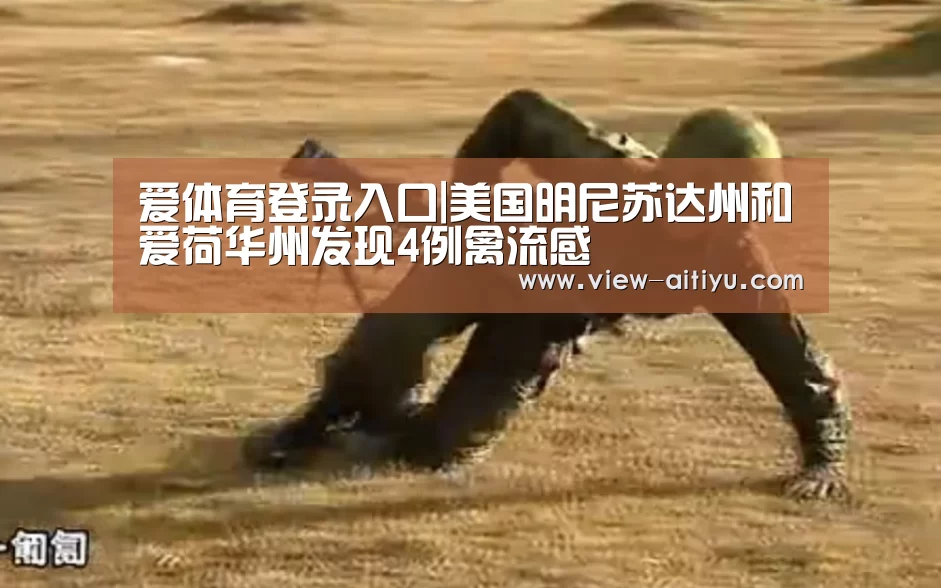 爱体育登录入口|美国明尼苏达州和爱荷华州发现4例禽流感(图3) 爱体育登录入口