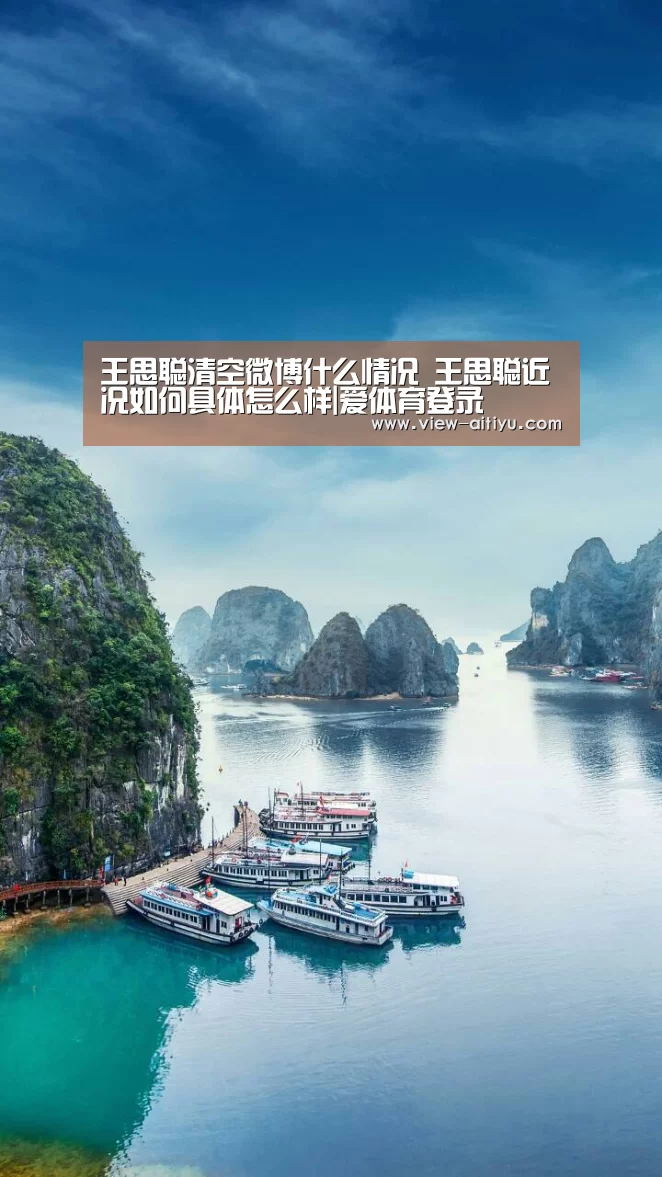 王思聪清空微博什么情况 王思聪近况如何具体怎么样|爱体育登录(图1) 爱体育登录入口